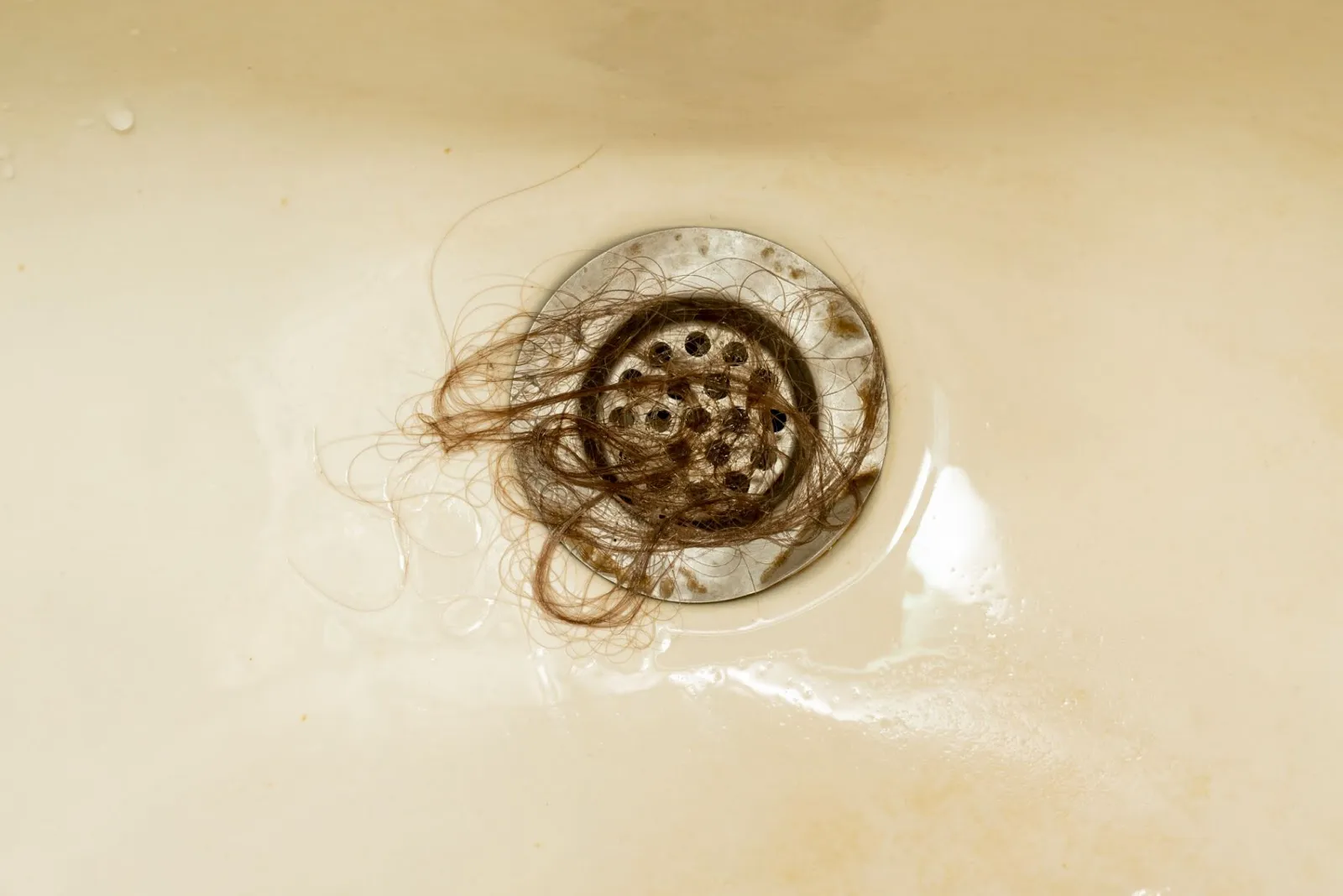 Hair clogging a bathroom sink drain.